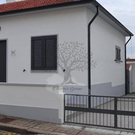 Oliveira'S Dream - Stay Good, Feel Good Maia  Exterior photo